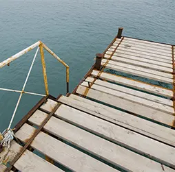 Wooden Groynes Installation