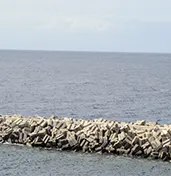 Shoreline Stabilization Groynes