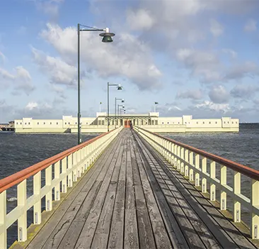 Wooden Groynes Installation