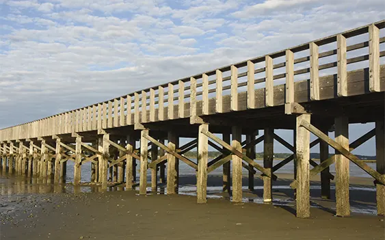 Delta Gulf Overseas Groynes Construction Projects